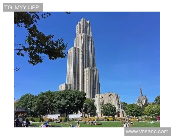 独家解析：北京排球队技术特点及其与其他球队的全面对比分析