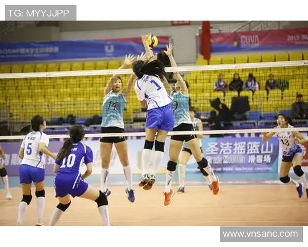 南京排球队总决赛精彩表现分析团队协作的重要性与未来展望