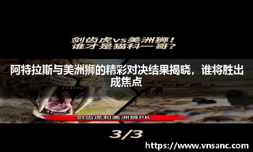 球速体育平台
